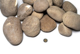 Rock