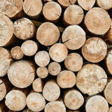 Fresh, Cut Firewood